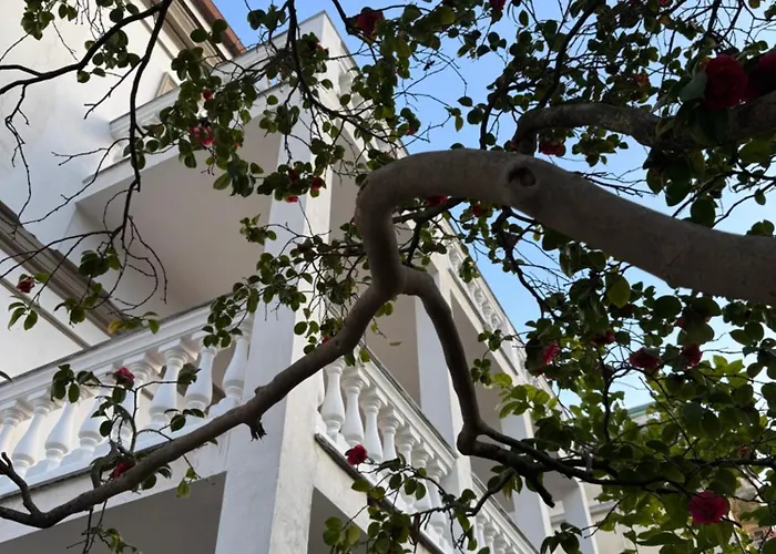 Affittacamere Astrea 3*